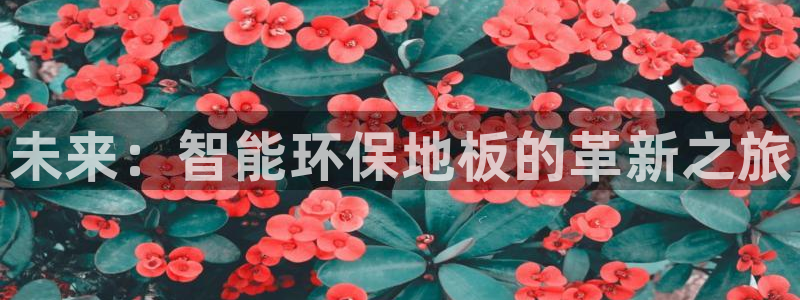 尊龙官方正版app官网：未来：智能环保地板的革新之旅