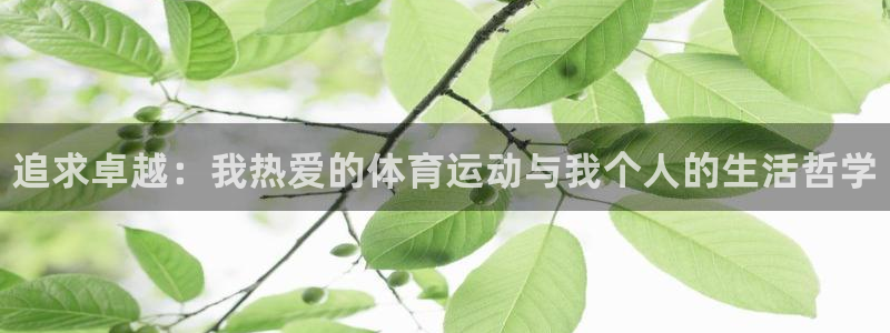 尊龙官网下载招商：追求卓越：我热爱的体育运动与我个人