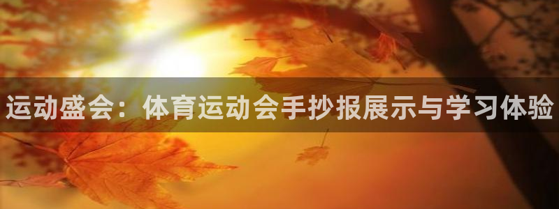 尊龙官网下载平台注册流程图：运动盛会：体育运动会手抄