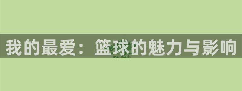 尊龙官网下载平台：我的最爱：篮球的魅力与影响