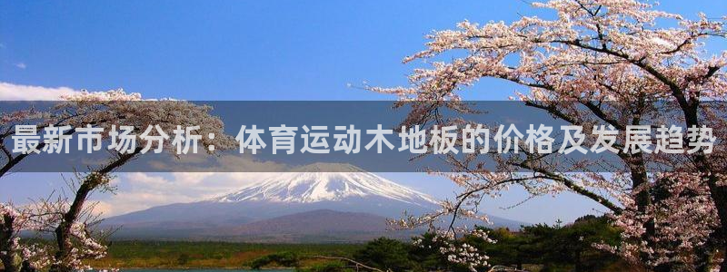 尊龙官网下载平台注册：最新市场分析：体育运动木地板的