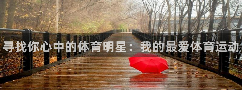 尊龙官方正版app科技：寻找你心中的体育明星：我的最