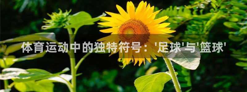 尊龙官方正版app集团简介：体育运动中的独特符号：\