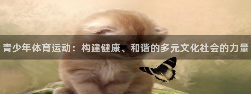 德国尊龙官方正版app集团：青少年体育运动：构建健康