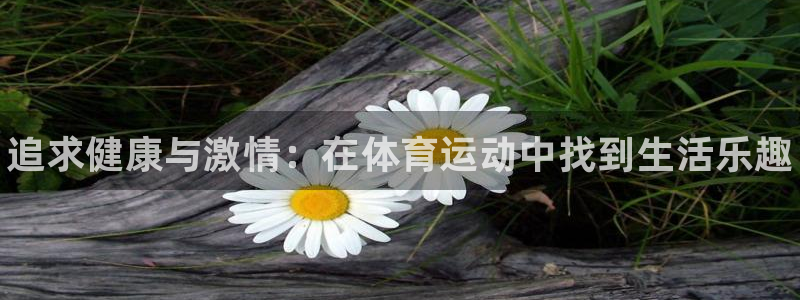 尊龙官网下载招商电话是多少啊：追求健康与激情：在体育