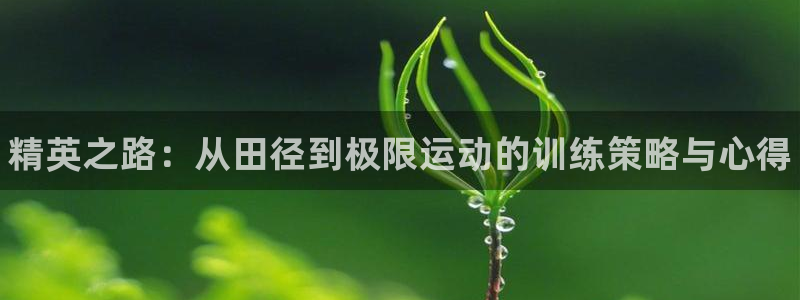 尊龙官网下载联系电话：精英之路：从田径到极限运动的训