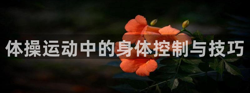 尊龙官网下载招商电话号码：体操运动中的身体控制与技巧
