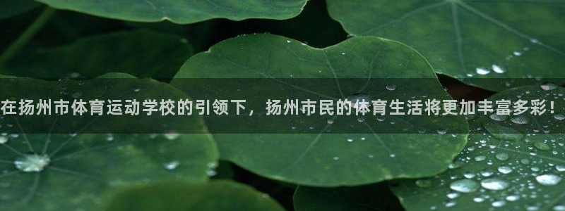 尊龙官网下载软件：在扬州市体育运动学校的引领下，扬州市民的体
