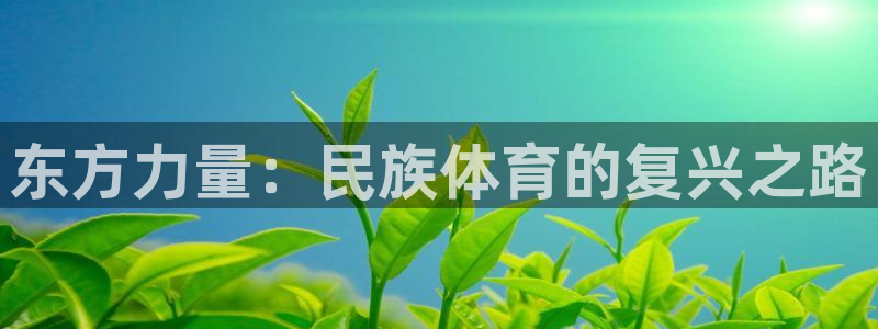尊龙官网下载娱乐