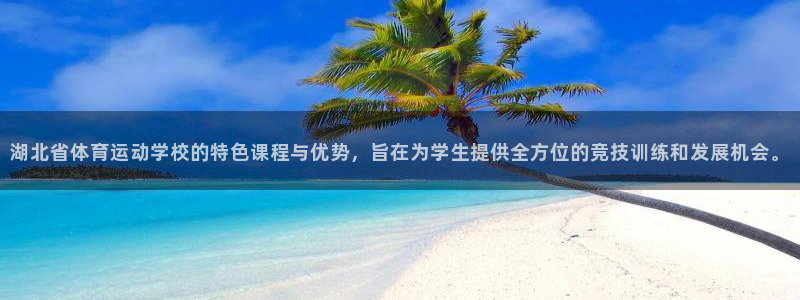 尊龙官方正版app娱乐：湖北省体育运动学校的特色课程与优势，
