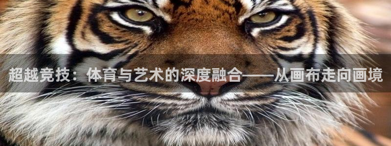 尊龙官网下载平台注册要钱吗是真的吗：超越竞技：体育与