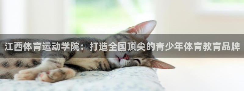 尊龙官方正版app五金厂
