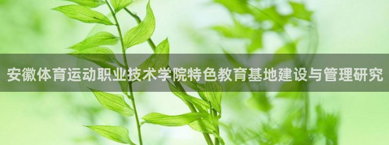尊龙官方正版app新能源：安徽体育运动职业技术学院特色教育基