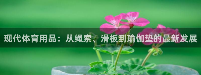 尊龙官网下载开户：现代体育用品：从绳索、滑板到瑜伽垫的最新发