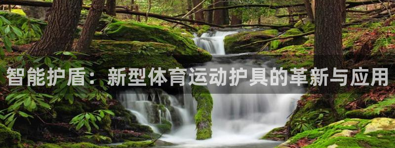 尊龙官方正版app娱乐网站：智能护盾：新型体育运动护具的革新
