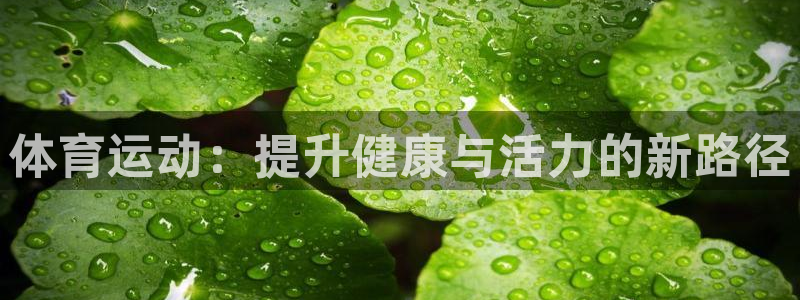 尊龙官方平台体育